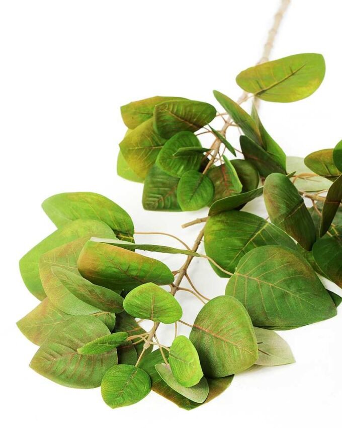 H:90*26 Leaf GS-1450086 5 H:90*26 Leaf GS-1450086