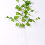 25*93CM leaf GS-1450087