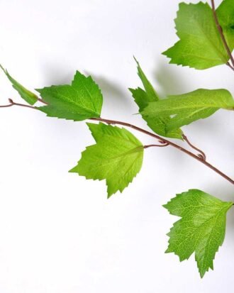 25*93CM leaf GS-1450087