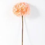 18*50cm Single hydrangea GS-1450090