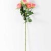 18*75CM single rose*5 GS-1450091