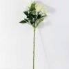 18*75CM single rose*5 GS-1450091