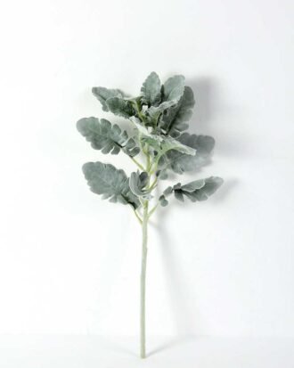 17*46CM Fructus forsythiae leaf GS-1450095-G1