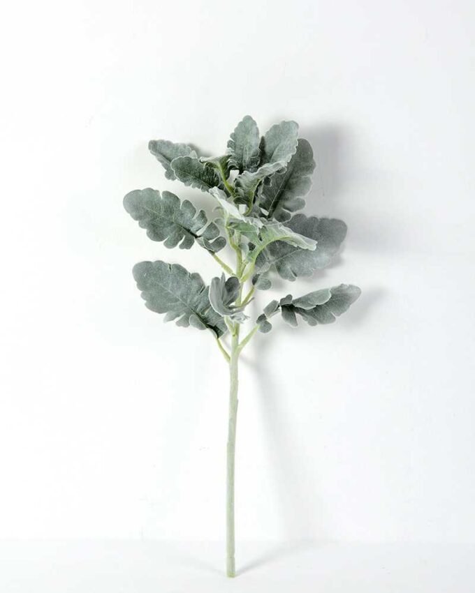 17*46CM Fructus forsythiae leaf GS-1450095-G1 1 17*46CM Fructus forsythiae leaf GS-1450095-G1