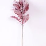 17*46CM Fructus forsythiae leaf GS-1450095-S1