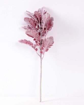 17*46CM Fructus forsythiae leaf GS-1450095-S1