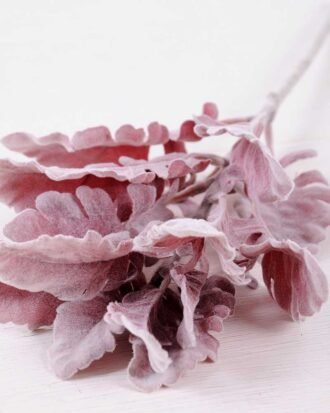 17*46CM Fructus forsythiae leaf GS-1450095-S1