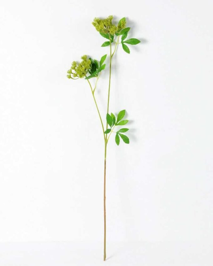 72CM Tradescantia fluminensis GS-1450102 5 72CM Tradescantia fluminensis GS-1450102