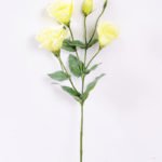 12*54CM  balloon flower GS-1450103-G1