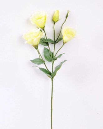 12*54CM  balloon flower GS-1450103-G1