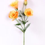 12*54CM  balloon flower GS-1450103-O1