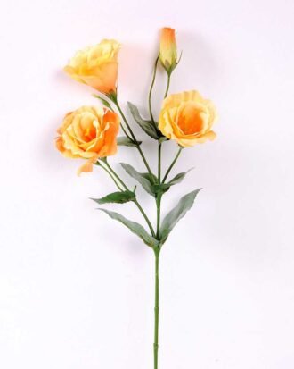 12*54CM  balloon flower GS-1450103-O1