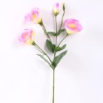 12*54CM  balloon flower GS-1450103-P1