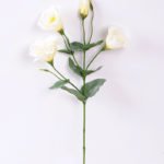 12*54CM  balloon flower GS-1450103-W1