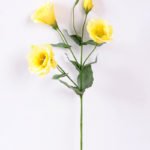 12*54CM  balloon flower GS-1450103-Y1
