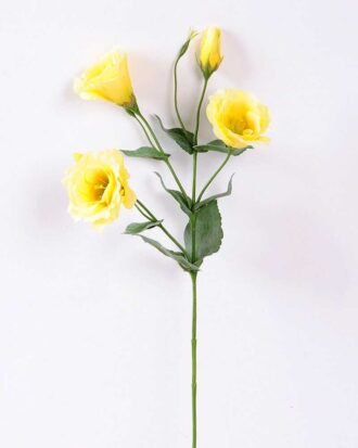 12*54CM  balloon flower GS-1450103-Y1