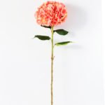 30*93CM Big  Single Hydrangea GS-1450104