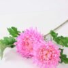 H:23*71cm Chrysanthemum GS-1450113-P1