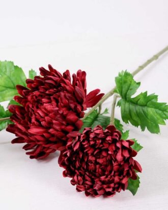 H:23*71cm Chrysanthemum GS-1450113-R1