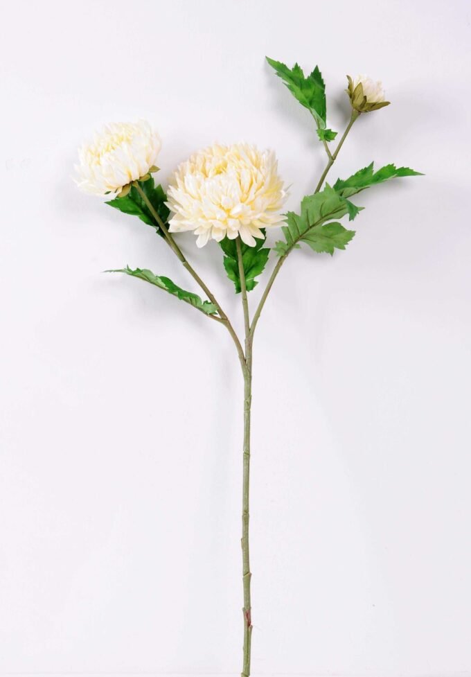 H:23*71cm Chrysanthemum GS-1450113-W1