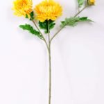 H:23*71cm Chrysanthemum GS-1450113-Y1