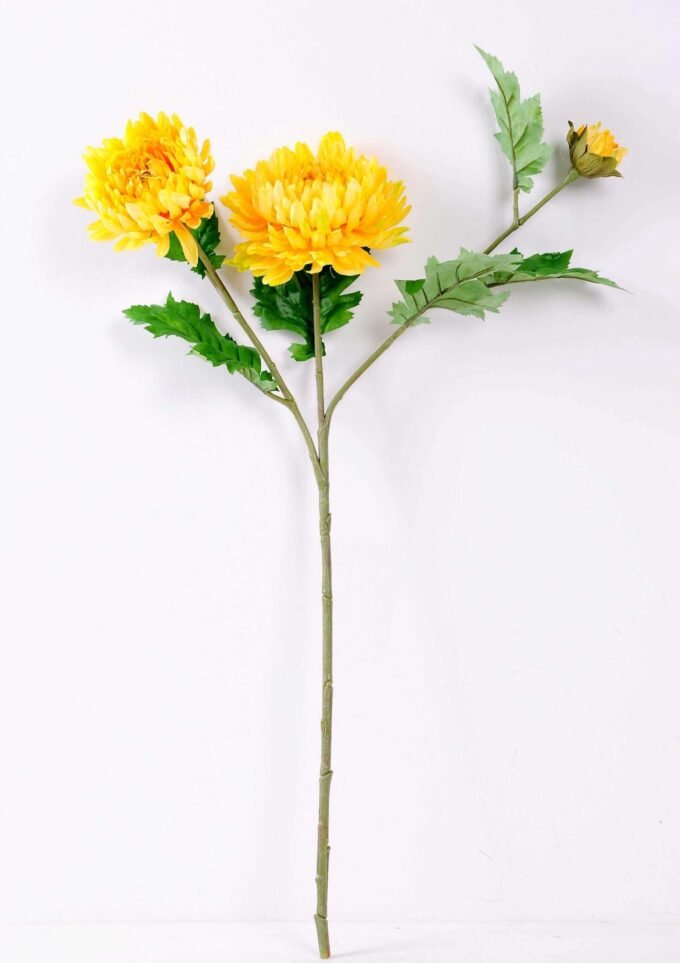 H:23*71cm Chrysanthemum GS-1450113-Y1