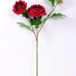H:23*71cm Chrysanthemum GS-1450113-Z1