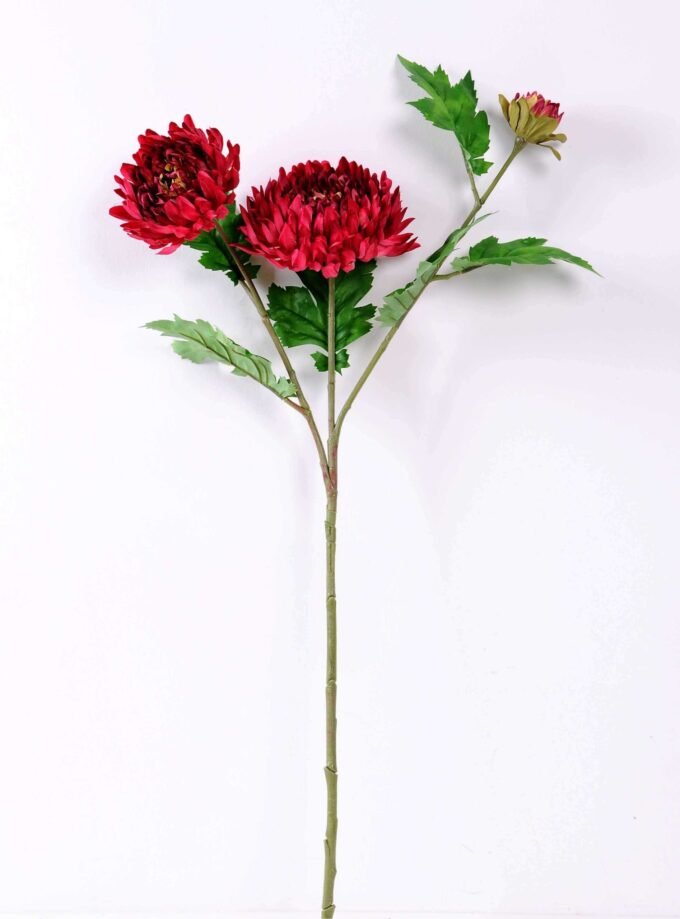H:23*71cm Chrysanthemum GS-1450113-Z1