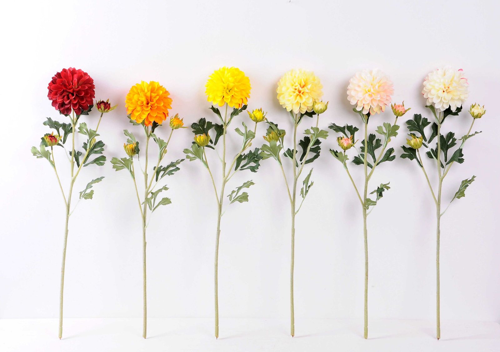 marigoldsさん専用２　1000 6 Pack Marigolds - Bright Yellow Large GH-109F-MY - Essex
