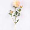 H:11*65cm Single Marigold GS-1450118-P1 1 H:11*65cm Single Marigold GS-1450118-P1