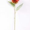 H:11*50cm Single Sunflower GS-1450119-O1