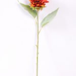 H:11*50cm Single Sunflower GS-1450119-O1