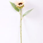 H:11*50cm Single Sunflower GS-1450119-W1