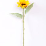 H:11*50cm Single Sunflower GS-1450119-Y1