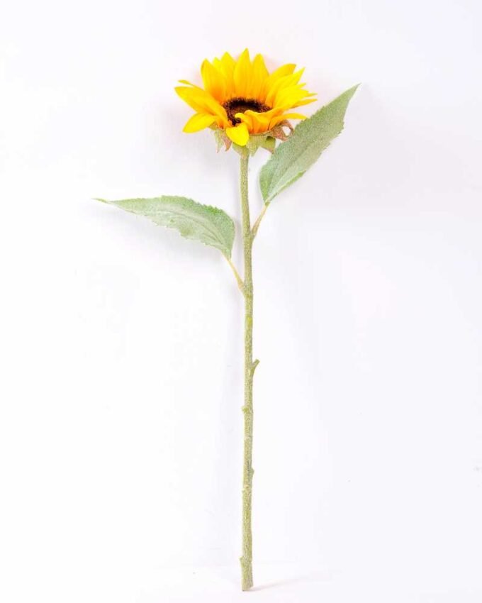 H:11*50cm Single Sunflower GS-1450119-Y1 1 H:11*50cm Single Sunflower GS-1450119-Y1