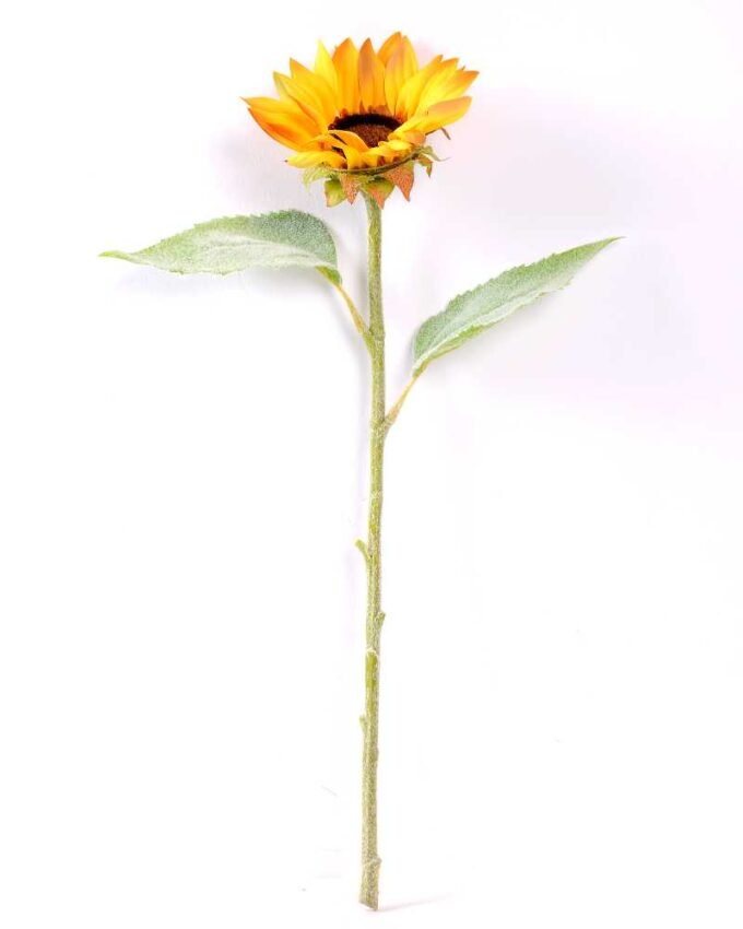 H:11*50cm Single Sunflower GS-1450119-Y2