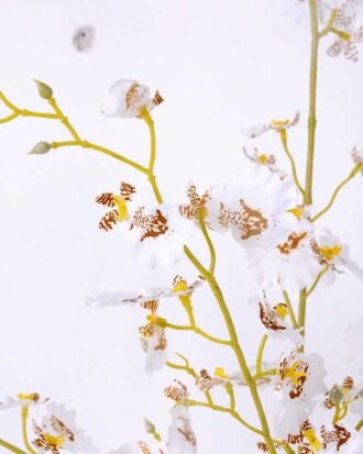 H:99*25 Bancing Orchid Spray GS-1450176-W1 Leaves&Sprays&Foliages YeahFlower is one of Chinese leading OEM manufacturers and exporters , supplying the silk flowers, wholesale artificial trees H:99*25 Bancing Orchid Spray GS-1450176-W1