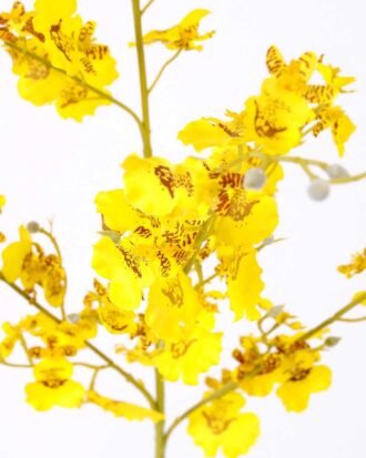 H:99*25 Bancing Orchid Spray GS-1450176-Y1 Leaves&Sprays&Foliages YeahFlower is one of Chinese leading OEM manufacturers and exporters , supplying the silk flowers, wholesale artificial trees H:99*25 Bancing Orchid Spray GS-1450176-Y1