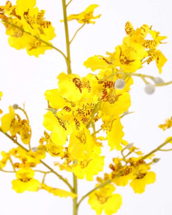 H:99*25 Bancing Orchid Spray GS-1450176-Y1