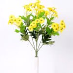 H:35*13 Mexico Chrysanthemum GS-1450177-Y1