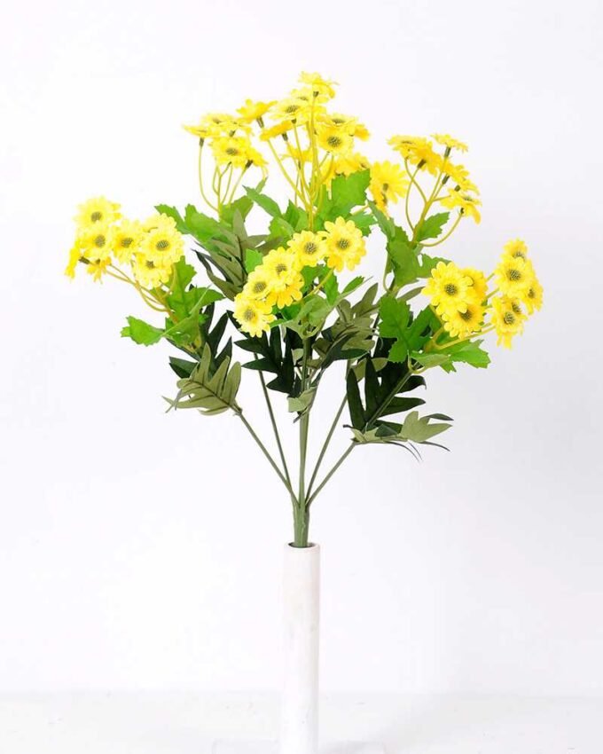 H:35*13 Mexico Chrysanthemum GS-1450177-Y1