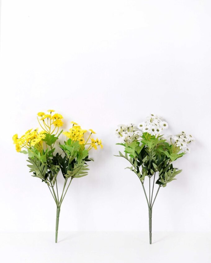 H:35*13 Mexico Chrysanthemum GS-1450177