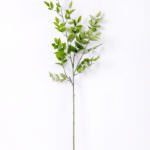H:79*20 Bean Leaf GS-1450182