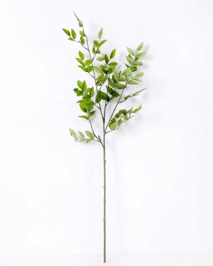 H:79*20 Bean Leaf GS-1450182