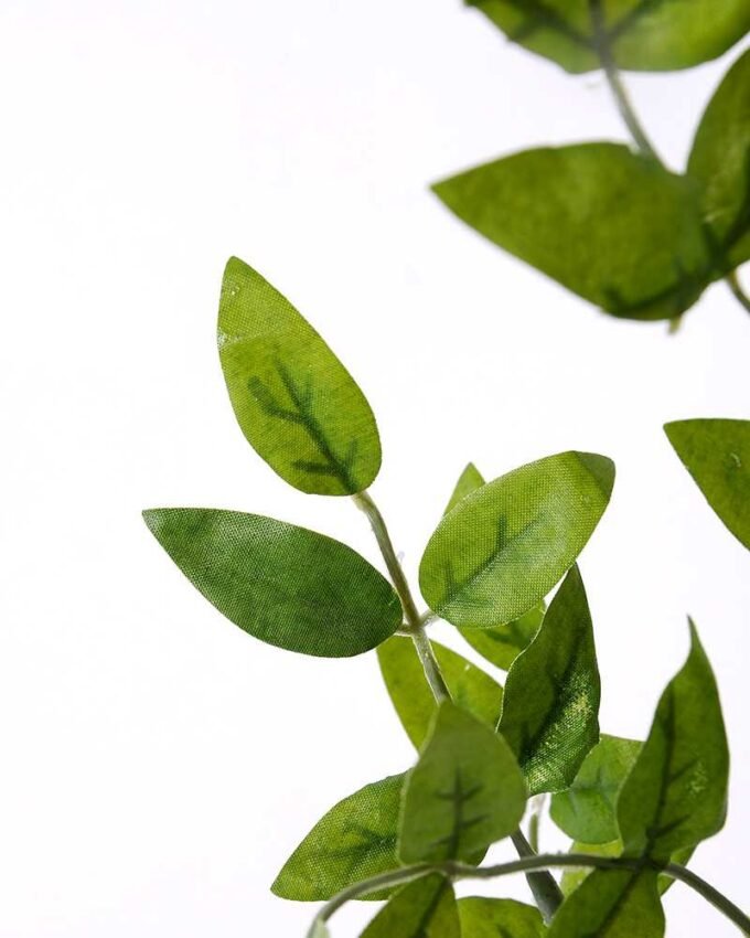 H:79*20 Bean Leaf GS-1450182