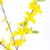 H:55*10 Flower Vine GS-1450183