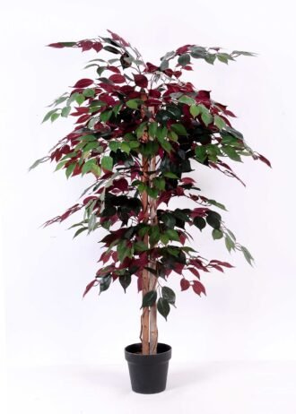 130cm Red banyan GF16017-672