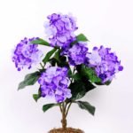 35*57CM Hydrangea Bush*5 GS-0010115