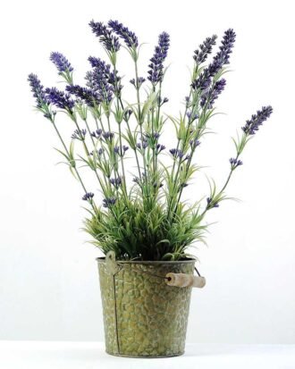 lavender in metal pot GS-0338254
