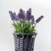 lavender in basket H:9" GS-0338282SF